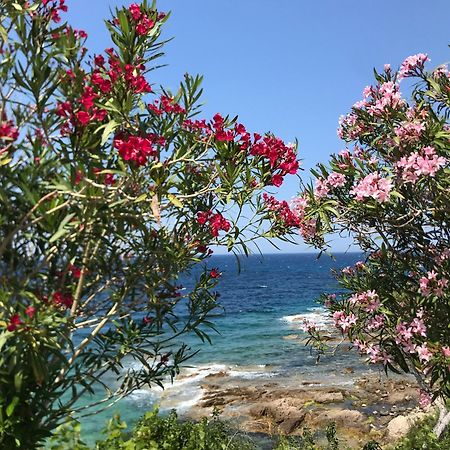 Appartamento Nidu Accogliente In Balagna LʼÎle-Rousse Esterno foto
