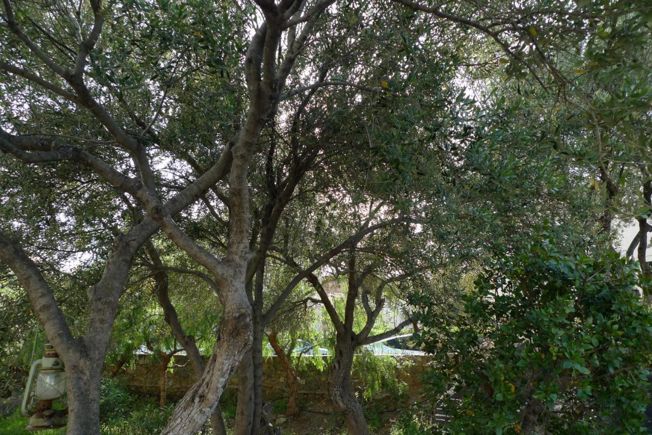 Appartamento Nidu Accogliente In Balagna LʼÎle-Rousse Esterno foto