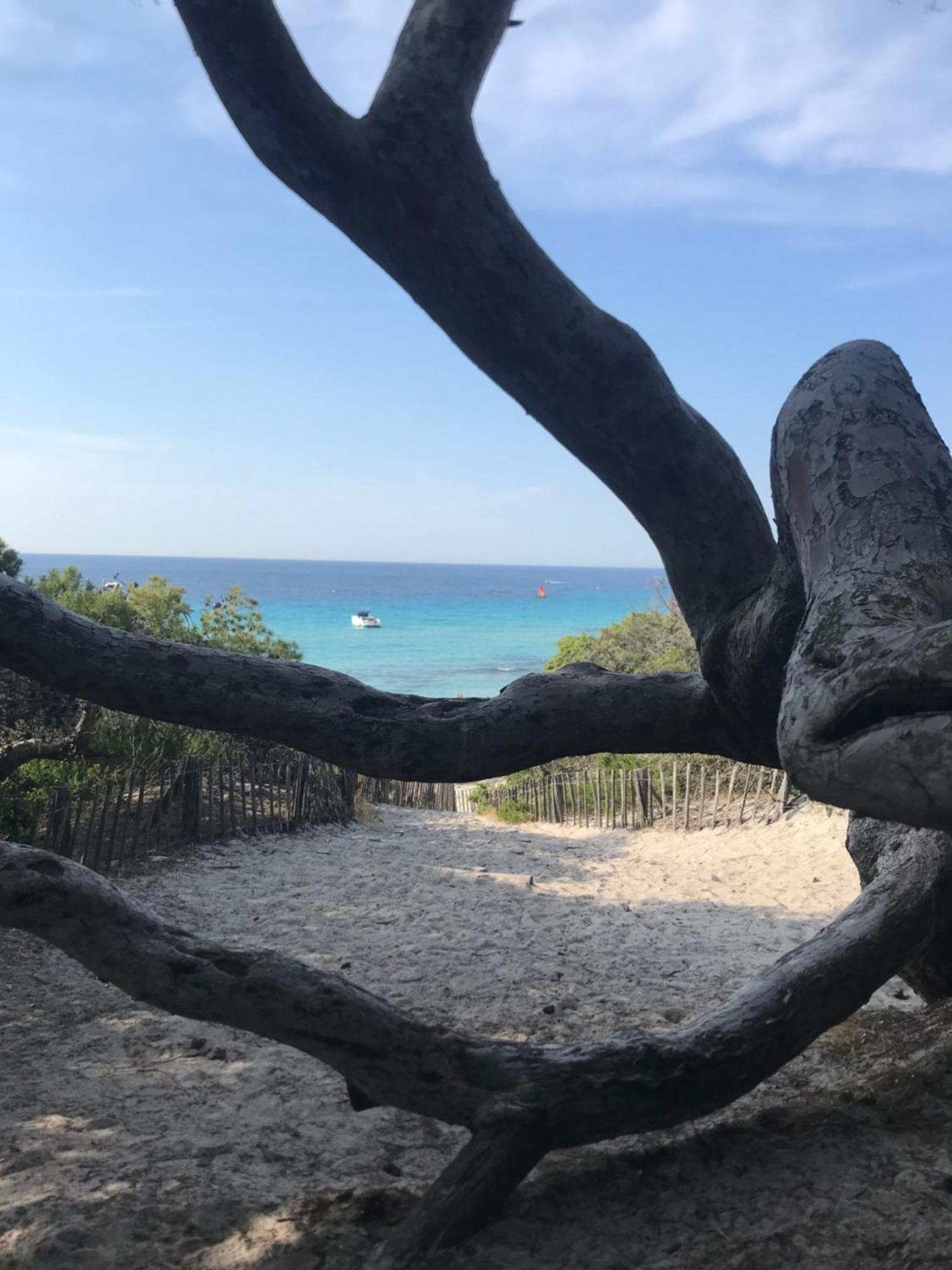 Appartamento Nidu Accogliente In Balagna LʼÎle-Rousse Esterno foto