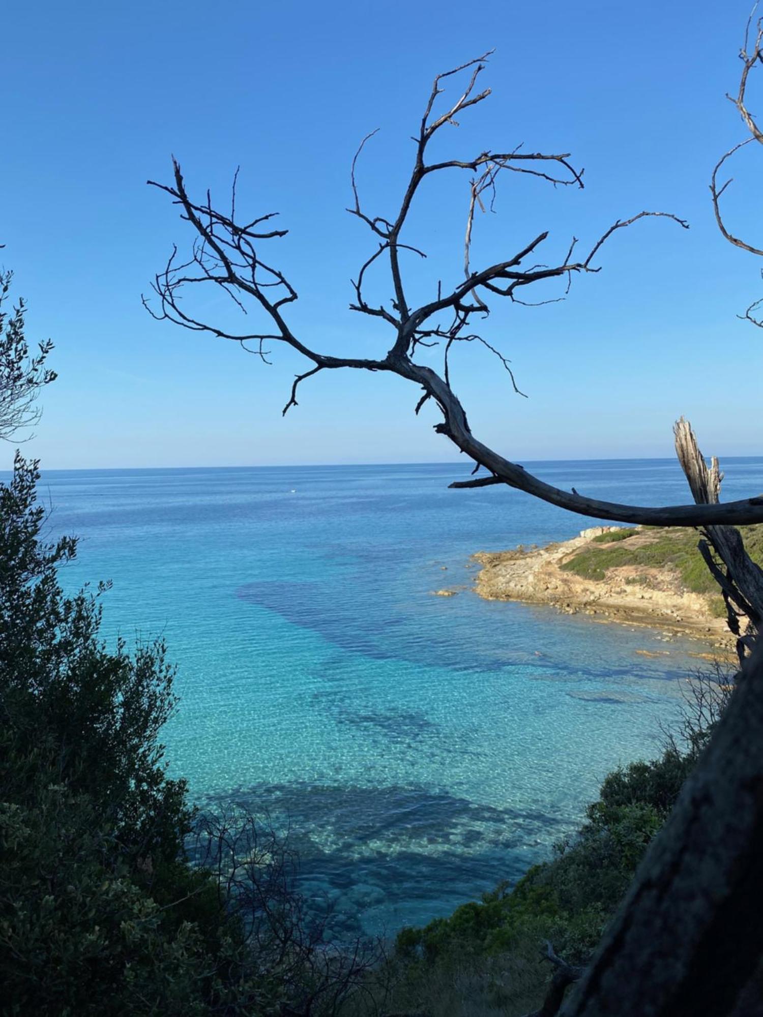 Appartamento Nidu Accogliente In Balagna LʼÎle-Rousse Esterno foto